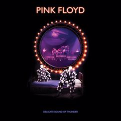 Pink Floyd: Delicate Sound of Thunder (2019 Remix) (Live)