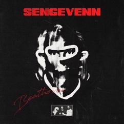 Beathoven, Andreas Stabell: SENGEVENN