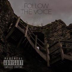 Winston Shiver feat. Ynikelevra: Follow the Voice (Original Mix)
