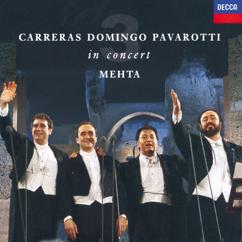 José Carreras, Orchestra del Teatro dell'Opera di Roma, Orchestra del Maggio Musicale Fiorentino, Zubin Mehta: Core 'ngrato (Live)