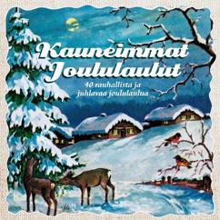 The Candomino Choir: Trad : Heinillä härkien kaukalon (Born in a Manger)