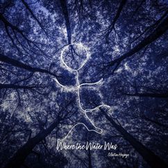 Martin Hoybye: Where the Water Was