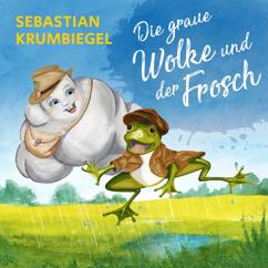 Sebastian Krumbiegel: Die graue Wolke und der Frosch