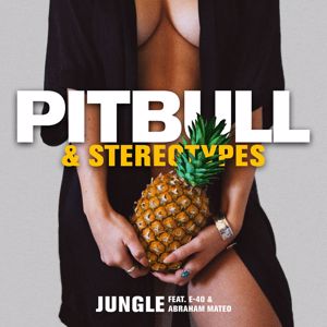 Pitbull & Stereotypes feat. E-40 & Abraham Mateo: Jungle