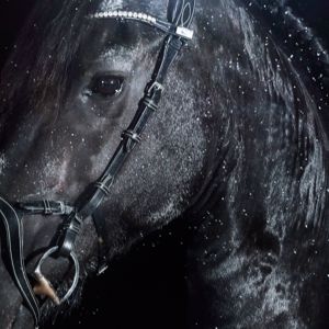 MELO: Turisti (feat. Turisti)