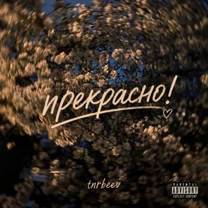 tnrbeev: Прекрасно!