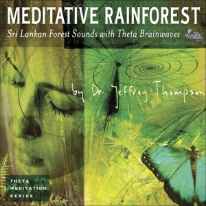 Dr. Jeffrey Thompson: Meditative Rainforest