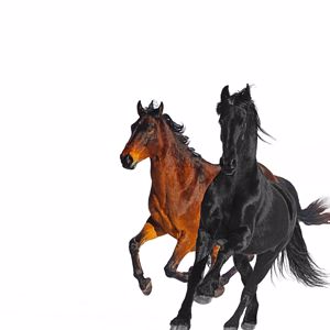 Old Town Road - Remix