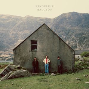 Kingfishr: Diamonds & Roses