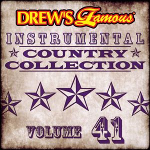 The Hit Crew: Drew's Famous Instrumental Country Collection (Vol. 41)