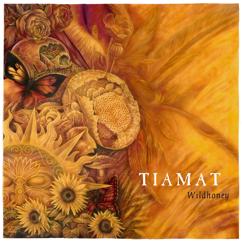 Tiamat: Whatever That Hurts (remastered video edit)