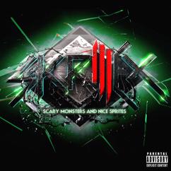 Skrillex: Scary Monsters and Nice Sprites (Zedd Remix)