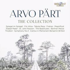 Jeroen van Veen: III. Allegro