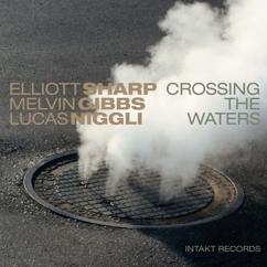 Elliott Sharp, Melvin Gibbs & Lucas Niggli: Crossing The Waters