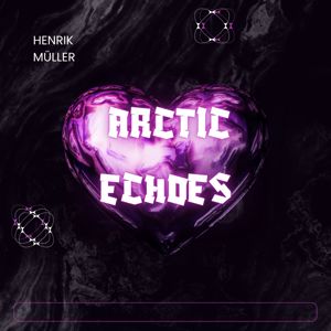 Henrik Müller: Arctic Echoes