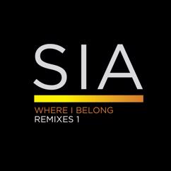 Sia: Where I Belong (Roni Size Crush Remix)