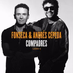 Andrés Cepeda, Fonseca: Mejor Que A Ti Me Va (Versión Reggae)