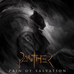 Pain Of Salvation: UNFUTURE