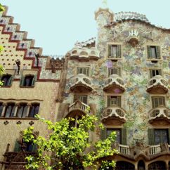 Elijah Fox: Barcelona