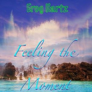 Various Artists: Feeling the Moment