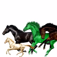 Lil Nas X feat. Billy Ray Cyrus, Young Thug & Mason Ramsey: Old Town Road (Remix)