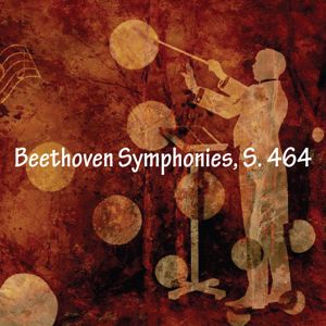 Andrew Hamilton: Beethoven Symphonies, S. 464