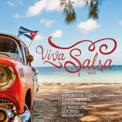 Este Habana feat. Dante De Charanga Habanera: Yo Soy Asi