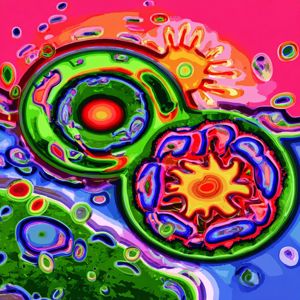 Lowkey Funk: Crossfade Corner Lounge