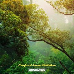SoundEscapers: 2 Min Rainforest Sounds Meditation