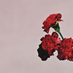 John Legend feat. Rick Ross: Who Do We Think We Are (Album Version)
