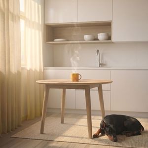 Pet BGM Lab: Weekend Morning Glow