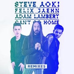 Steve Aoki & Felix Jaehn feat. Adam Lambert: Can't Go Home (Noisecontrollers Radio Edit)