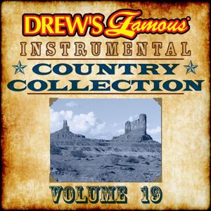 The Hit Crew: Drew's Famous Instrumental Country Collection (Vol. 19)