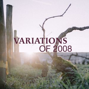 Max Richter: Variations of 2008