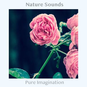 Nature Sounds: Pure Imagination