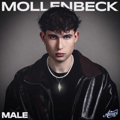 MOLLENBECK: MALE