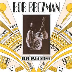 Bob Brozman: Short Man's Vindication (Instrumental)