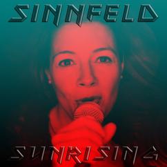 Sinnfeld: Move to the Sound