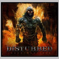 Disturbed: Inside the Fire
