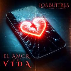 Los Buitres De Culiacan Sinaloa: El Amor De Mi Vida