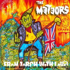 The Meteors: Swamp Thing