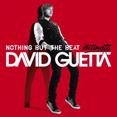 David Guetta, will.i.am: Nothing Really Matters (feat. will.i.am)