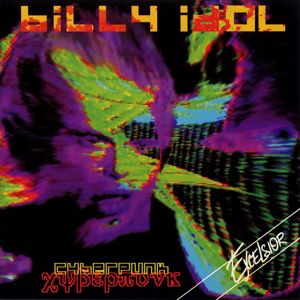 Billy Idol: Power Junkie