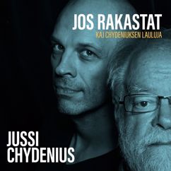 Jussi Chydenius: Viimeisestä illasta