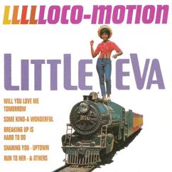 Little Eva: The Locomotion