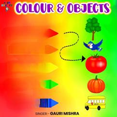 Gauri Mishra: Colours & Objects