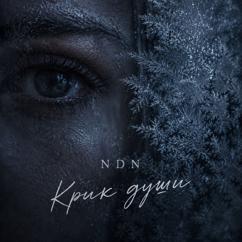 NDN: Крик души