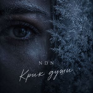 NDN: Крик души