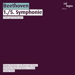 Gustav Kuhn & Haydn Orchester von Bozen und Trient: Symphonie No. 1 in C-Dur, Op. 21: III. Menuetto