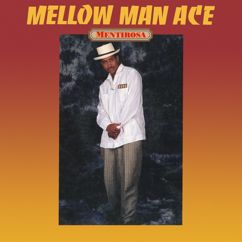 Mellow Man Ace: Welcome To My Groove (Hurley's House Of Trix Mix)